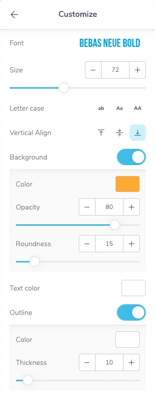 Subtitle style controls